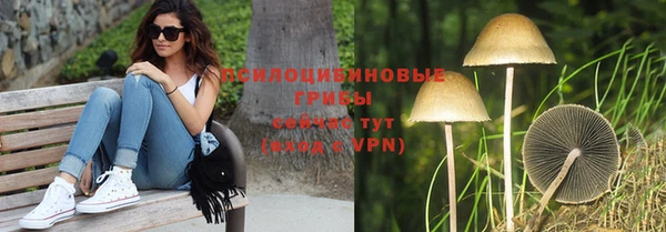 первитин Пересвет