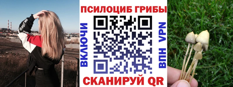 kraken ССЫЛКА  Брюховецкая  Псилоцибиновые грибы мухоморы 